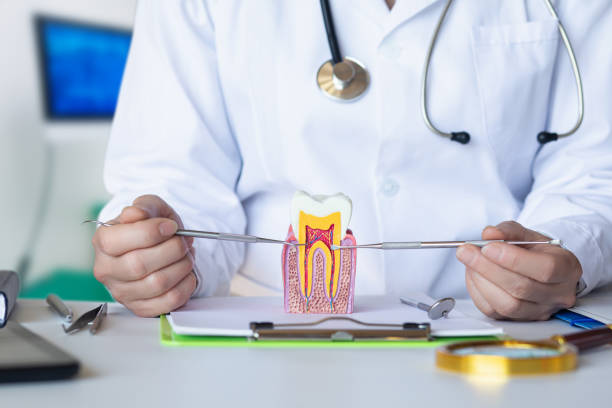 Best Orthodontic Emergency Dentist in East Providence, RI